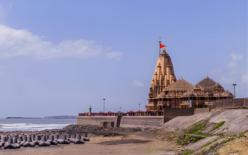 Divine Pilgrimage & Jungle Safari